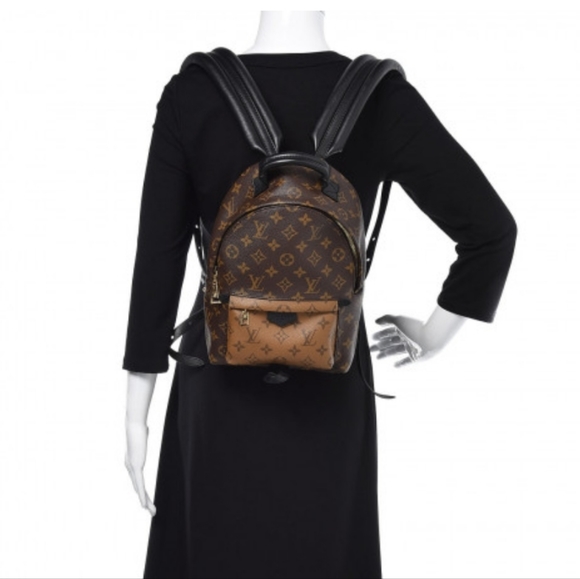 Louis Vuitton Palm Springs Backpack PM - Picture 2 of 13